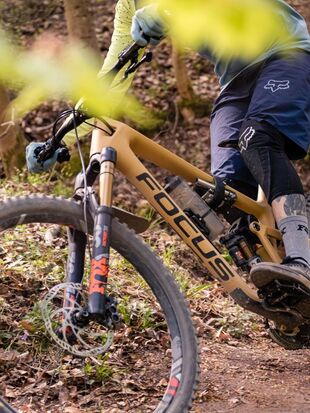 Mtb focus