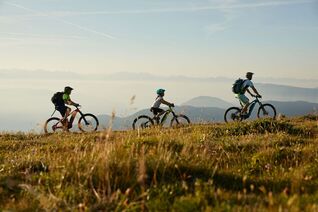 Mountain bike famiglia