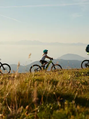 Mountain bike famiglia