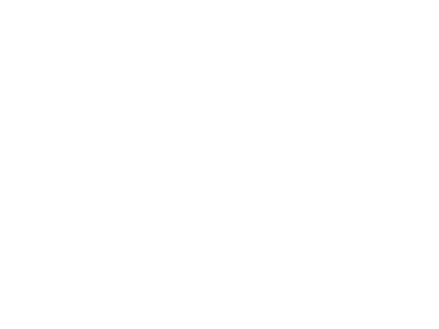 Logo Focus Bikes